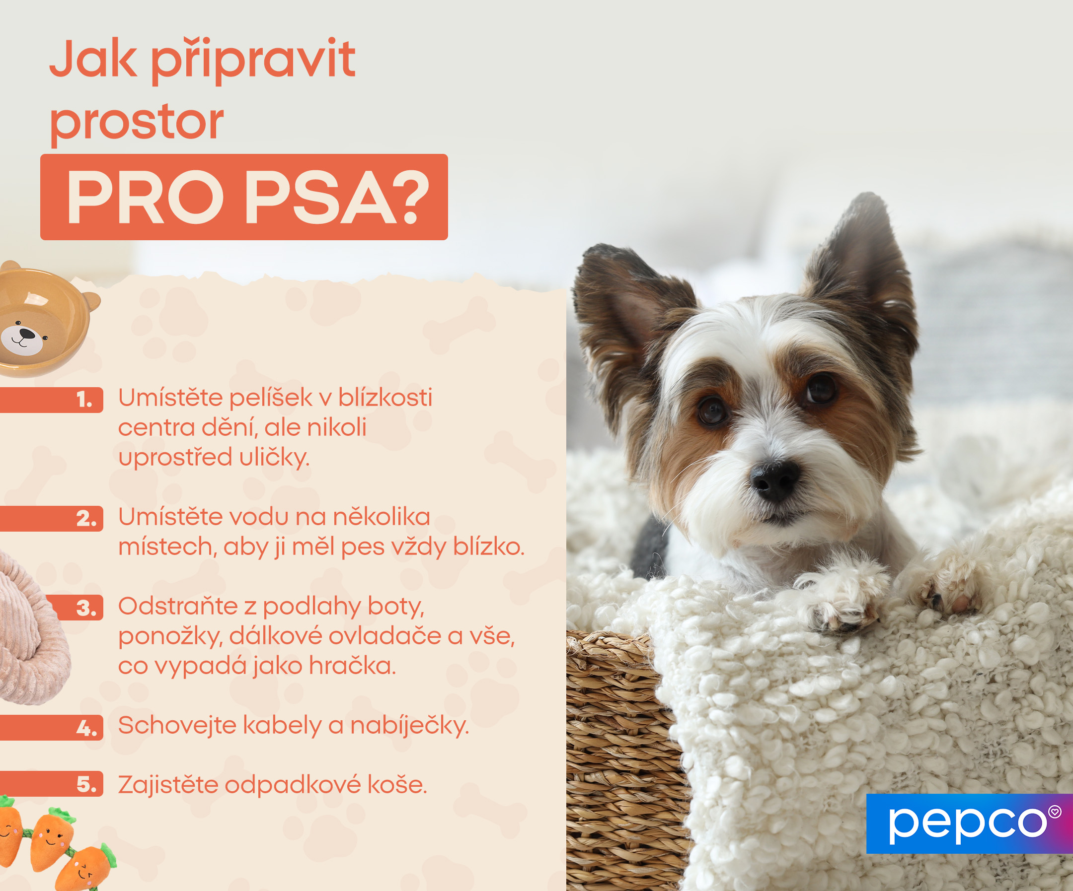 Jak připravit prostor pro psa?